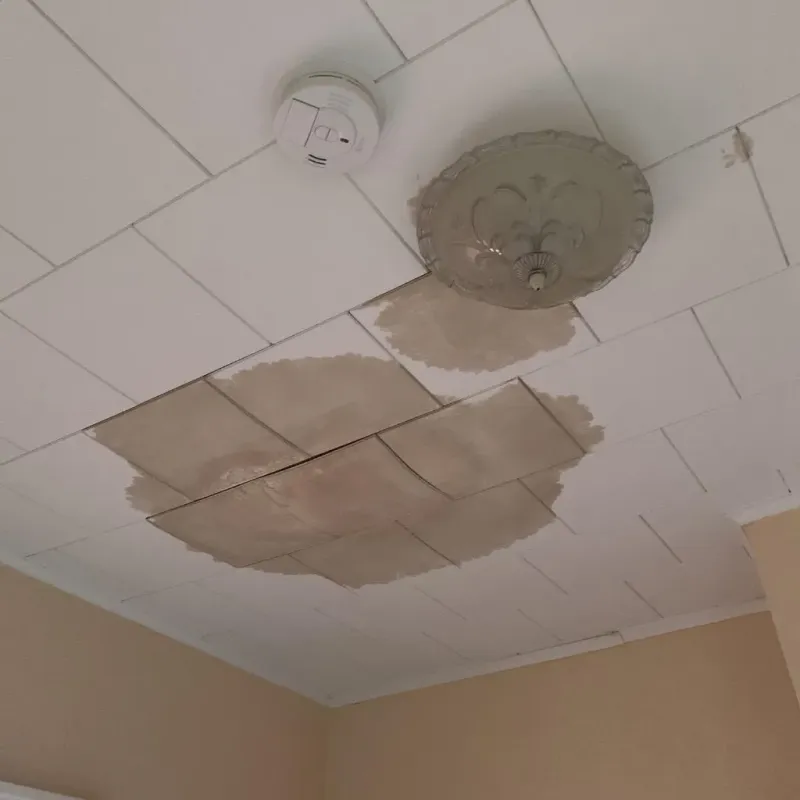 Ceiling Water Damage Repair in Bolindale, OH