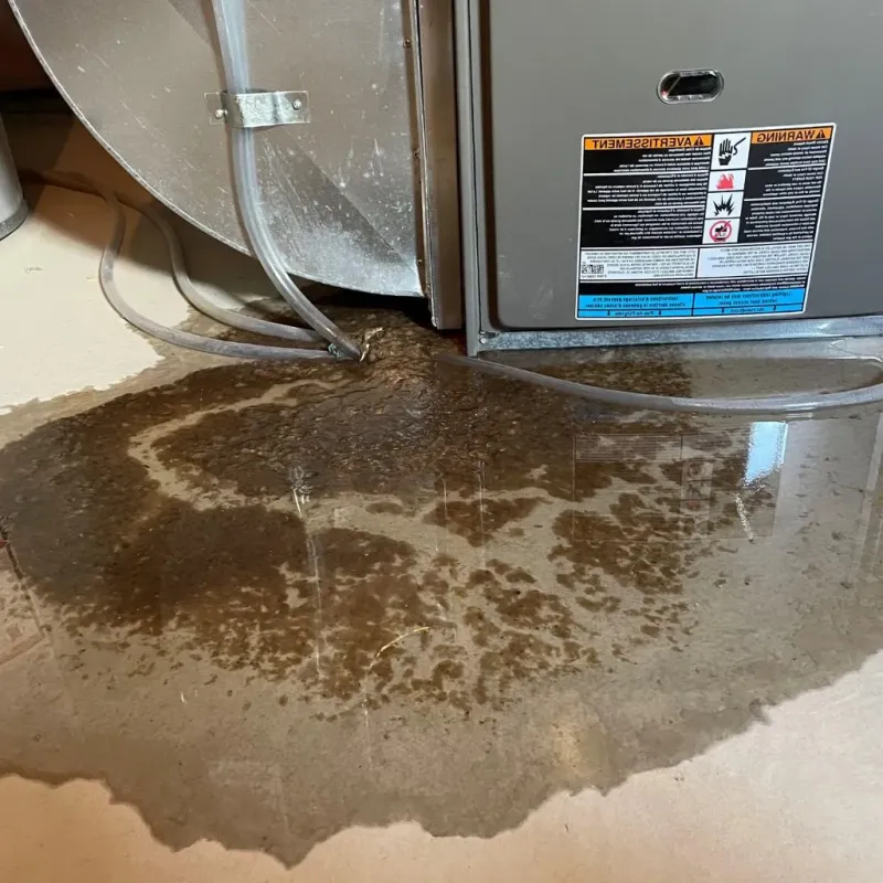 Pipe Burst and Leak Restoration in Bolindale, OH
