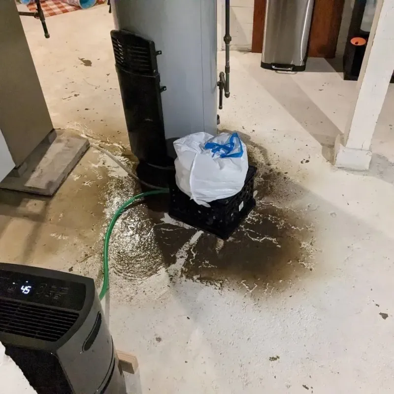 Sewage Backup Cleanup Service in Bolindale, OH